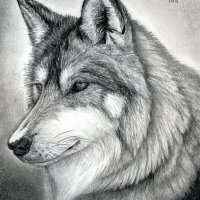 Gmo39 (@gmo3900) 's Twitter Profile
