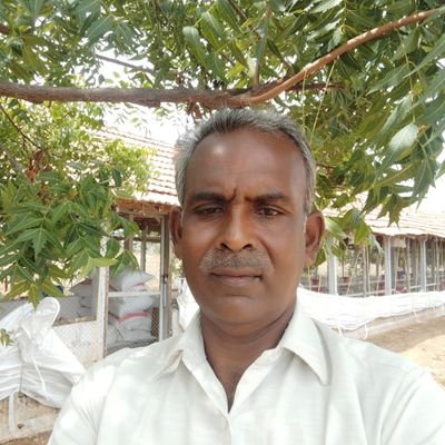 விவசாயி உண்மையை ஒப்புக் கௌள்பவன்