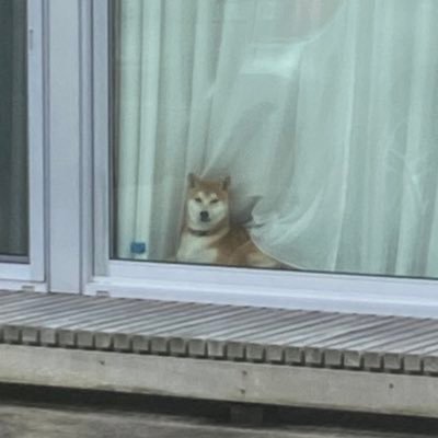 TgFCHCT2UtwQF2z's profile picture. 