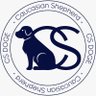 CSDOGE2's profile picture. Caucasian shepherd DOGE  “CS DOGE”. Meme token for DOGE lovers. NFT Marketplace, AI Image Generation NFT minting, NFT Wallet and tools