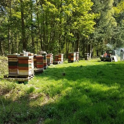 Lake District Honey Company