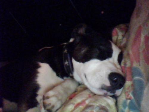 JoJoBaby09's profile picture. Starting out all over again...