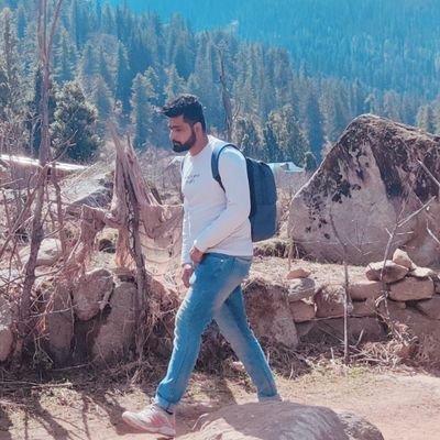 thisisabhis's profile picture. Web Developer