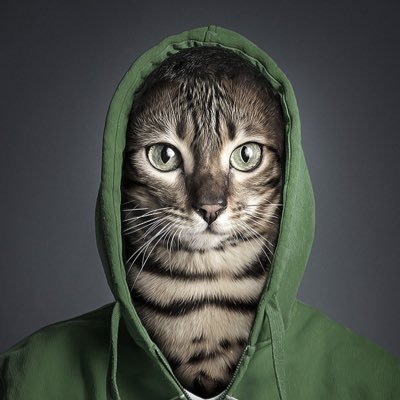 sobol_andy's profile picture. Ui/Ux Designer