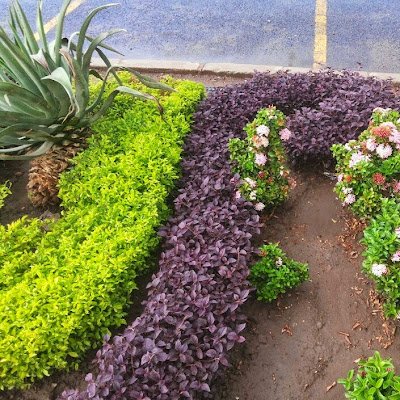 mubarakbabiker5's profile picture. 