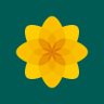 PlaidLlanishen's profile picture. Dros degwch, dros uchelgais, dros Lanisien. For fairness, for ambition, for Llanishen. 🏴󠁧󠁢󠁷󠁬󠁳󠁿 #VoteForWales @Plaid_Cymru
