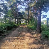 Melike Çakır (@melikecakir_akr) 's Twitter Profile