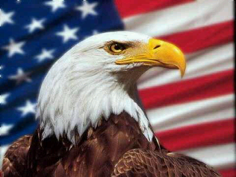 sulimowski22's profile picture. 