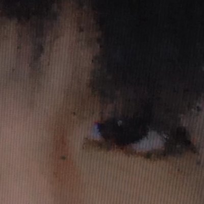 powutouwu's profile picture. los cabos