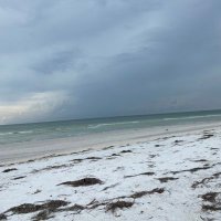 SarasotaMom (@mom_sarasota) 's Twitter Profile Photo SarasotaMom (@mom_sarasota) 's Twitter Profile Photo