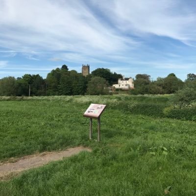 Kingsbury water park bird sightings