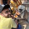 LokeshVohra2's profile picture. Civil Engineer 👷🏻
Virat Kohli Fan ❤️
India 🇮🇳