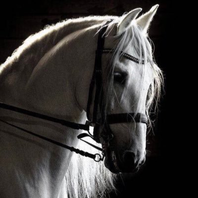 44mHn's profile picture. .......