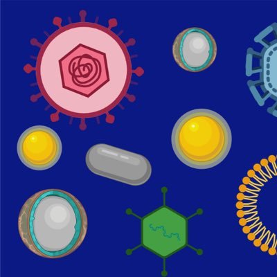 Size does matter for drug delivery! We design novel nanoparticle strategies to enhance tumour targeting of immuno therapies and reduce side effects.