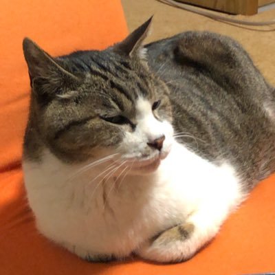 ここは私の気持ちを吐露する場所 成人済み マンウィズFCに入ったよー(箱推しだけど💚🧡💙) 好きな映画はリピ確定!
