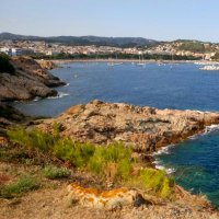 Antoni Compta (@antonicompta) 's Twitter Profile