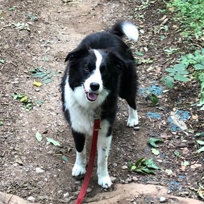 riggerATCC's profile picture. General sport fan.