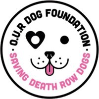 OUR Dog Foundation(@OURDogsRescue) 's Twitter Profile Photo