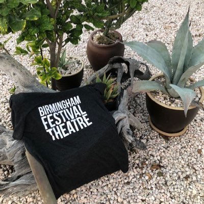 BFT has staged over 300 productions involving more than 60 directors, more than 1,000 actors and 600 crew members, seen by upwards of 200,000 audience members.