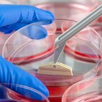 BSc in Bioengineering (@bscctekeele) 's Twitter Profile Photo BSc in Bioengineering (@bscctekeele) 's Twitter Profile Photo