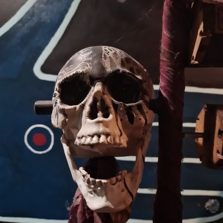 solmelia17's profile picture. 