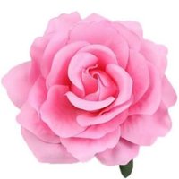 Tina Newton🍄 (@tinanewton512) 's Twitter Profile