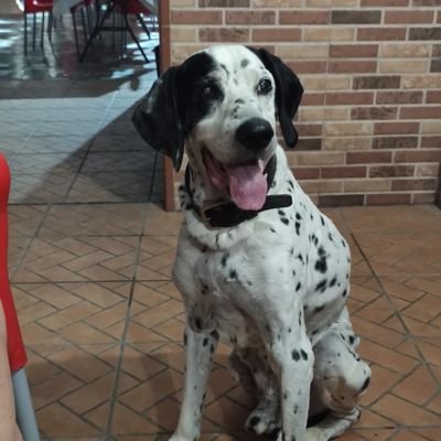 alexsego99's profile picture. Cuando me aburro hago rt a cosas que me hacen gracia. Graduado en Derecho.