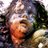 DirtyKnobs's profile image