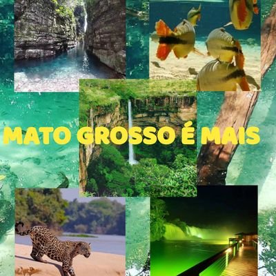 Mato Grosso é Mais: Mostra lugares, cultura, Pantanal e belezas de Mato Grosso. Use: #matogrossoemais #mtemais #pantanalmatogrossense