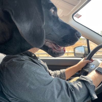 jscrespo's profile picture. Talent-adjacent digital professional.