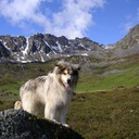 Randy Krell - @rgkrell - Twitter