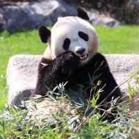 PAISUKE (@paisuke01) Twitter profile photo