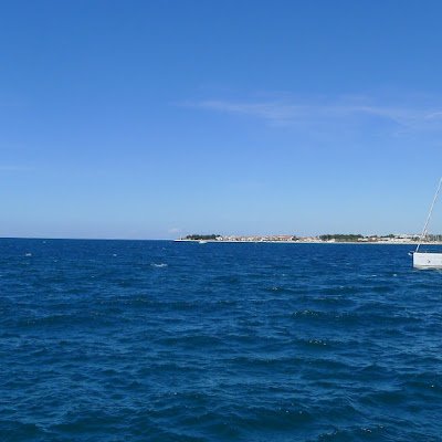 oasisoasis19's profile picture. 틀림을 다름으로 포장하지 말라