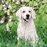 YoungHe27160030's profile picture. 