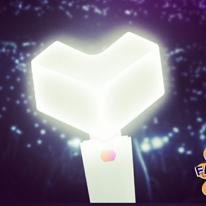 jash13748377's profile picture. Cat person