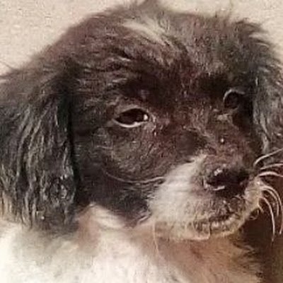 fabrilopez924's profile picture. 