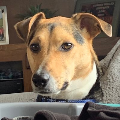 letsgohawks_515's profile picture. Why is this app on my phone