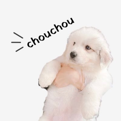 chouchou_the_g Profile Picture