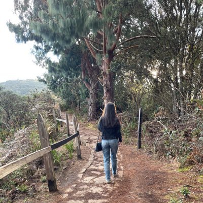 CamilaPachecoS's profile picture. Abogada @UExternado