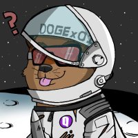 DogeXToMoon (@dogextomoon) 's Twitter Profile