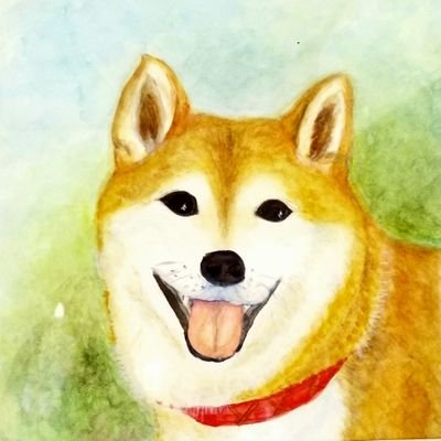 2011年8月25日生まれの柴犬「まる」とともに、移りゆく季節を楽しみながら田舎暮らしの日々です。