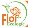 The best flowers from Ecuador, Лучшие цветы Эквадора
die besten Blumen des Äquators