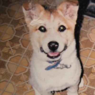 ソラさんのプロフィール画像