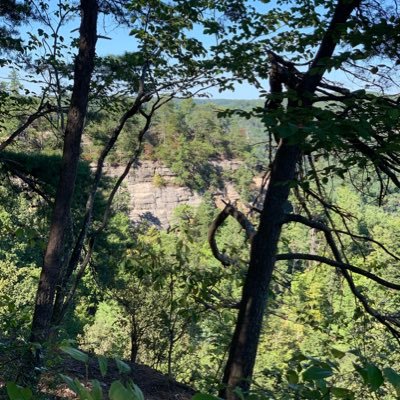 onlyonenina's profile picture. one day at a time - i find peace. ✨