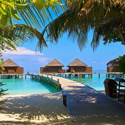 Tweets For Self Improvement | Entrepreneur | Investor | Be The Next Crypto Millionaire: https://t.co/iGU7beBIvW