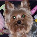 Kathy Myrick Reid - @MiMiK2016 - Twitter