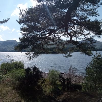 Arts & environmental communications | Languages: French & Japanese | Road & trail running | Views my own