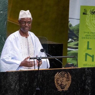 Ibrahim Thiaw Profile