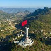 letungduong17's profile picture. 