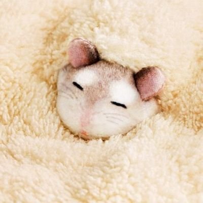 kimon_kimethu's profile picture. 加藤界隈、おにや界隈見とります ニコ生界隈も＋ どうぞよろしく